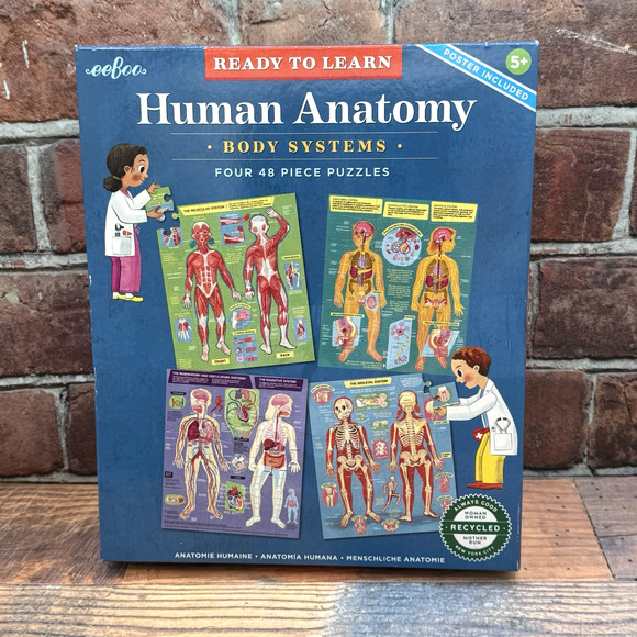 eeBoo Kid''s Human Anatomy 4 Puzzle Set, 48 Pieces (each) Ready to Learn NIB NEW - Picture 1 of 6
